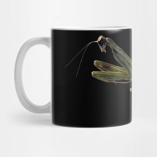 Praying Mantis Mug